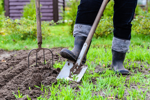 preparing garden