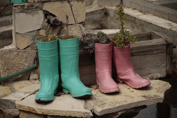 plants growing in rain boots