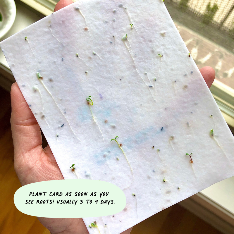 In Sympathy Watercolor