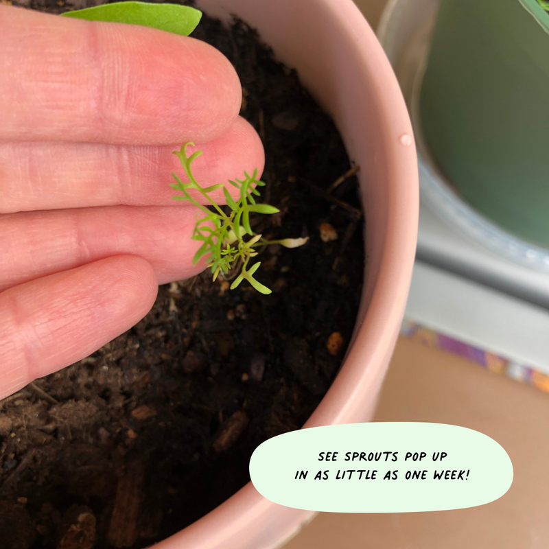 You Are Not Alone