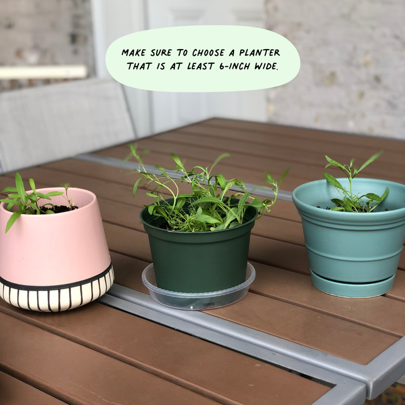 Five Flowers