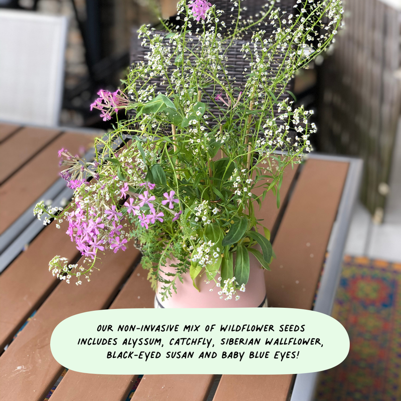 Thinking of You Flowers