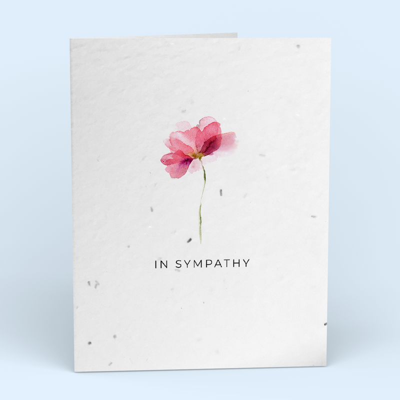 In Sympathy Watercolor