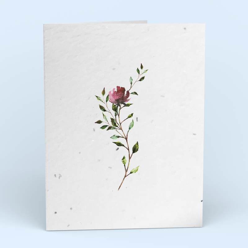 Red Botanical