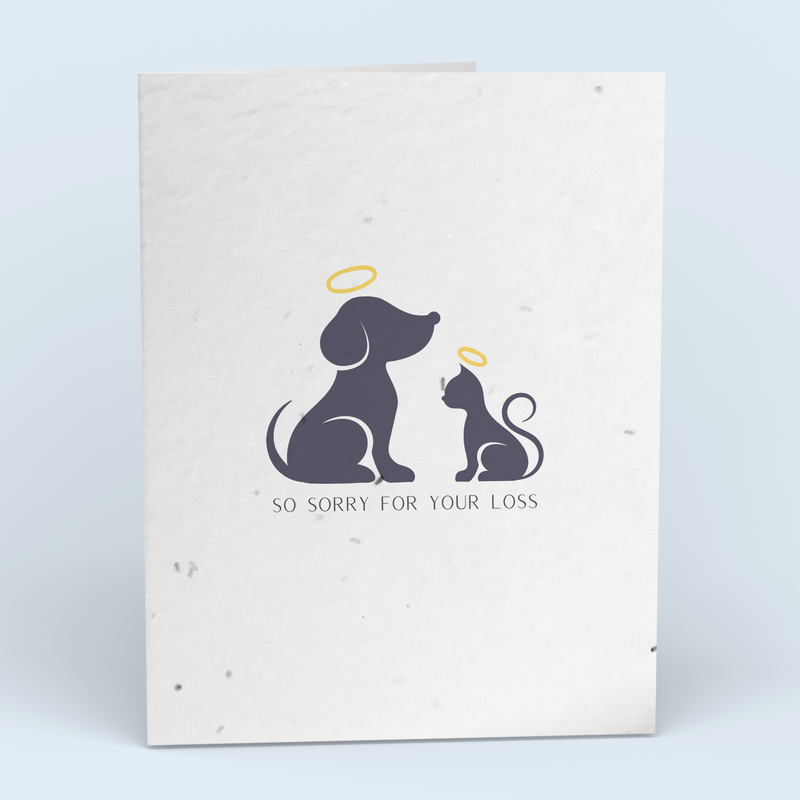 Pet Halo