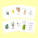 Just Because Variety 10-Pack