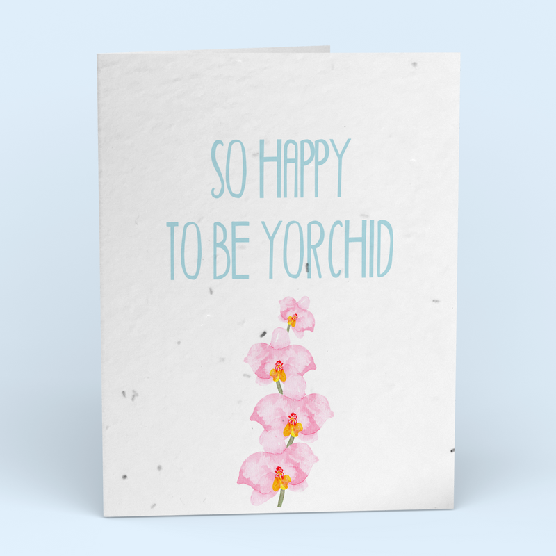 Yorchid